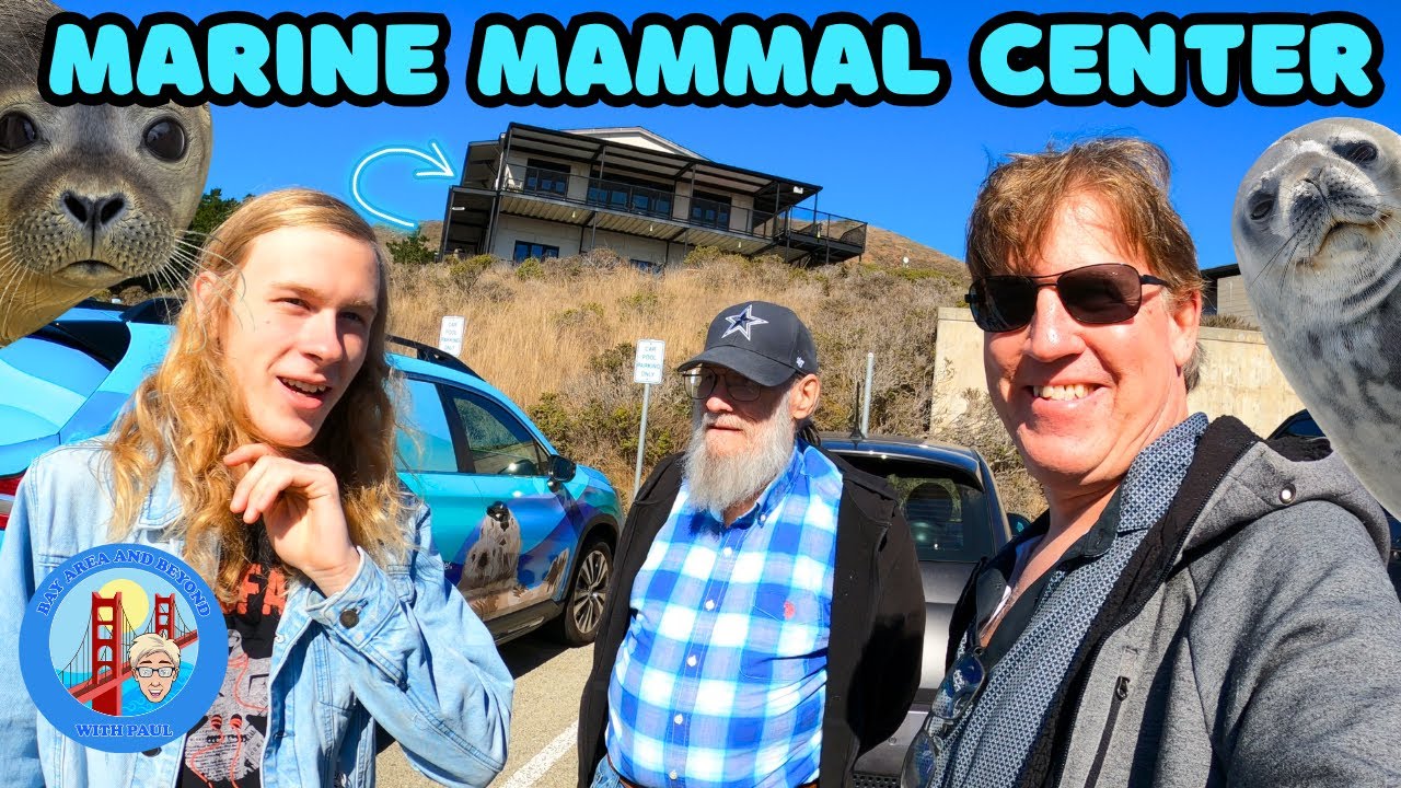 Inside Look: Saving Marine Wildlife at The Marine Mammal Center