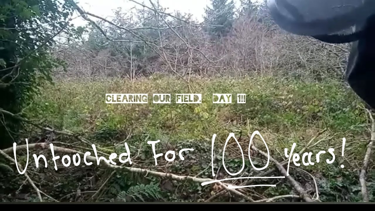 Clearing a Centuries worth of Bramble growth on our abandoned Garden! Offgrid Ireland