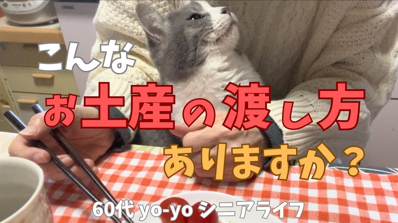 【60代yo-yoの日常】小さなクリスマス/年末大掃除/中国土産/編み物/ブライス人形/折り紙/猫との暮らし/シニアライフ/アラカン