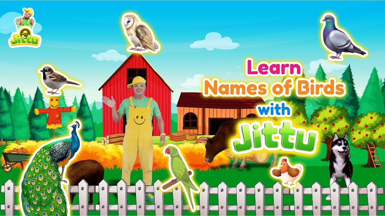 Exploring the World of Birds for Toddlers | Birds Names in English and Tamil #edutainment #birds