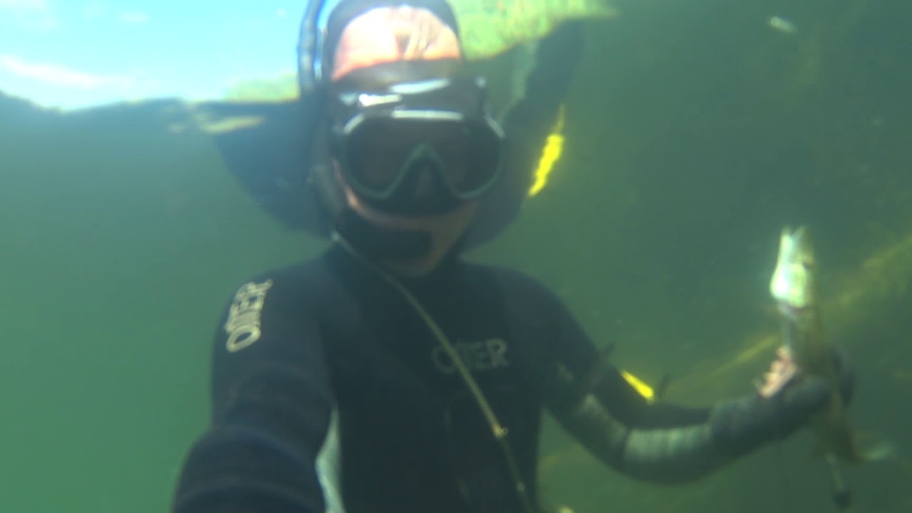 Подводная охота на Лужках. Река Кумачка.