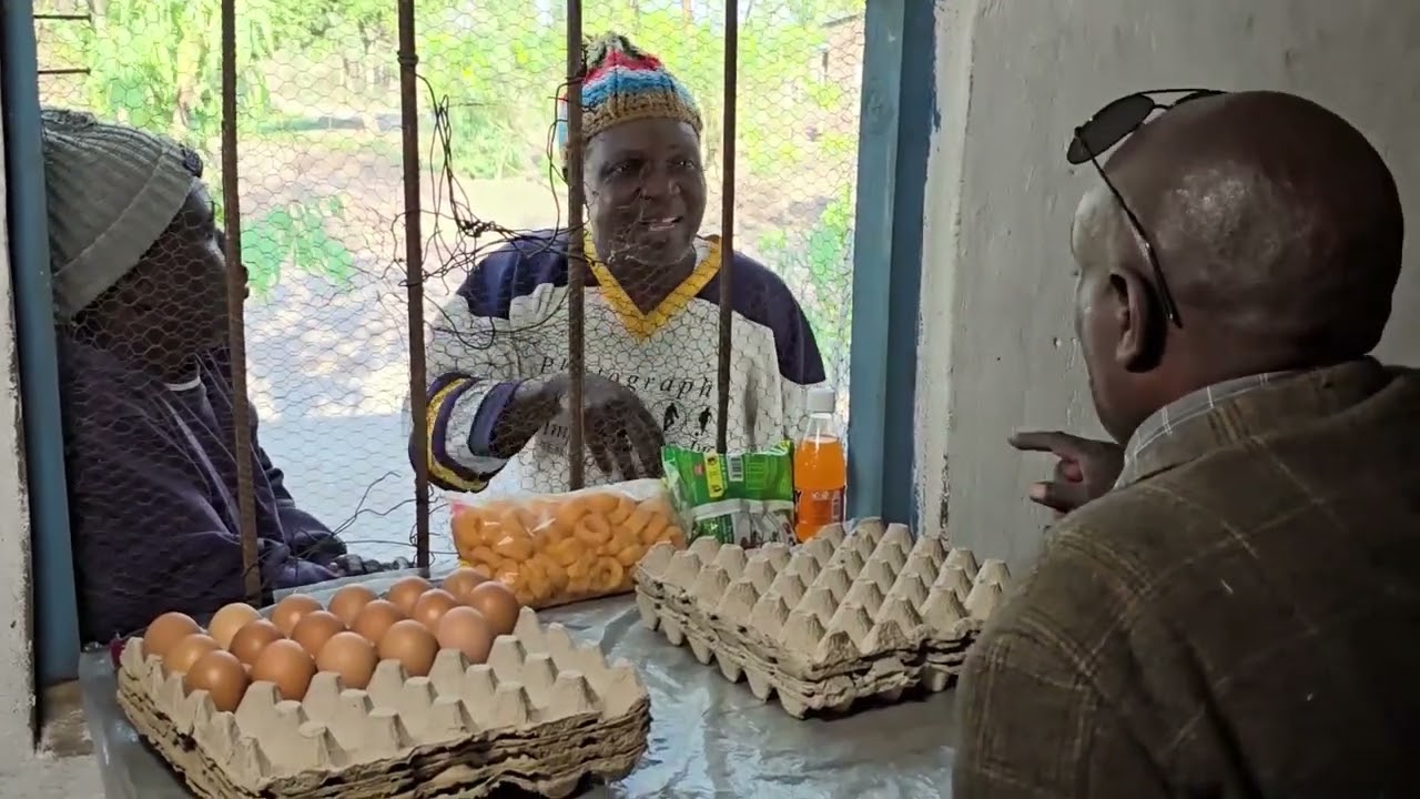 MFUMUKAZI FOR 11 DECEMBER 2025
