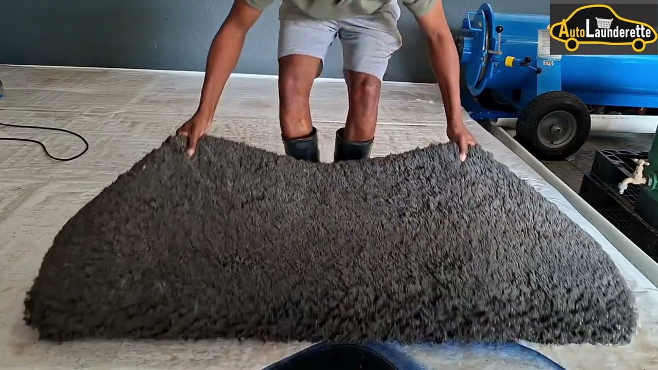 Carpet and Rug Cleaning with Before and After #carpetcleaning #rugcleaning