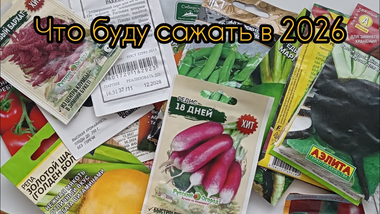 Что буду сажать в 2026🌱