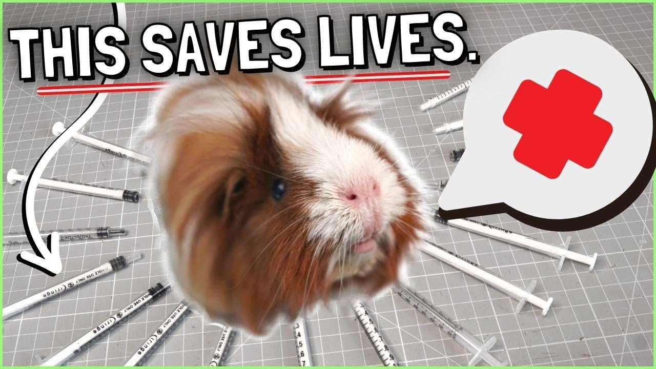 Guinea Pig First Aid Kit and Complete Home Care Guide!