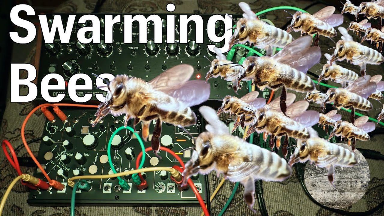 DFAM, Strega, and VintageVerb - Swarming Bees Jam