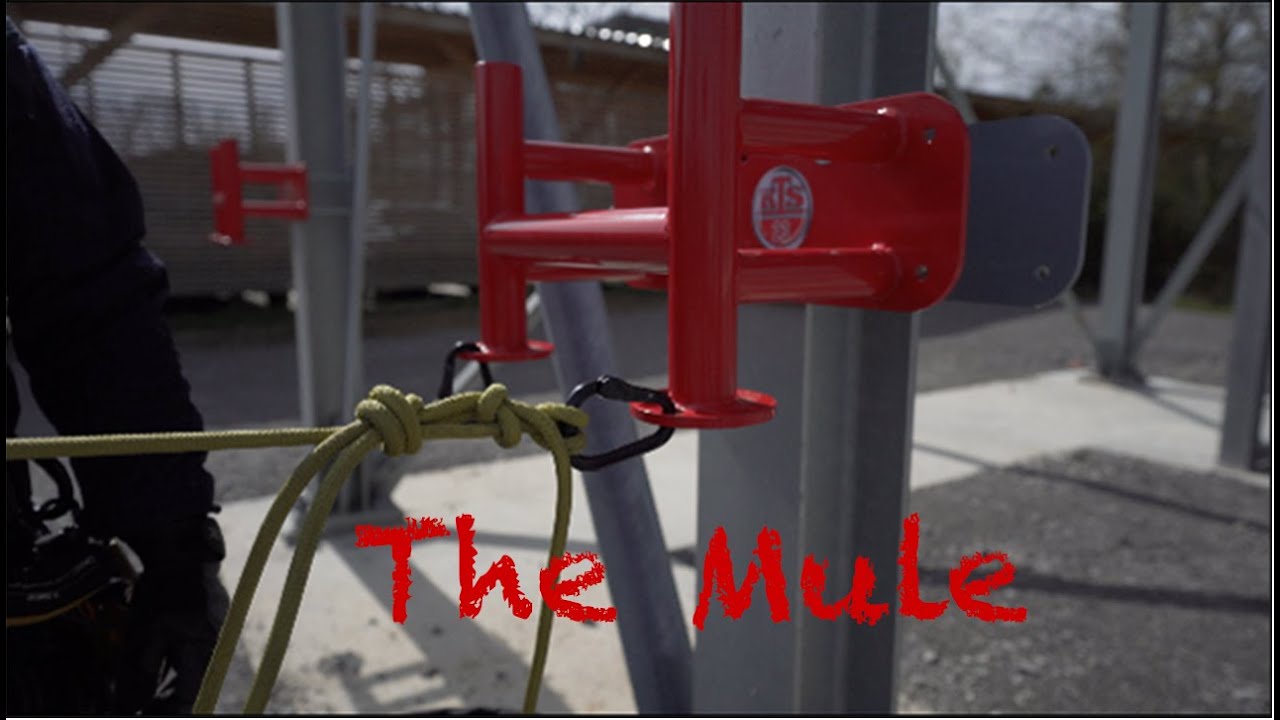 The Mule for Munter Hitch