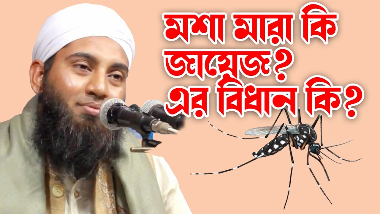 মশা মারা কি জায়েজ|মশা মারার বিধান কি।ইলেকট্রিক ব্যাট দিয়া মশা মারা যাবে কিmufti jobayer ahmad usmani