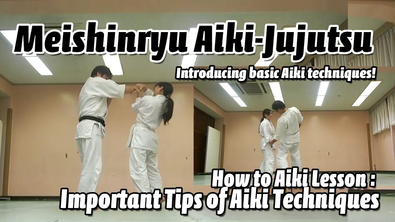 Tips of Aiki Training 合気の稽古で大事なポイント Meishinryu Aiki Jujutsu