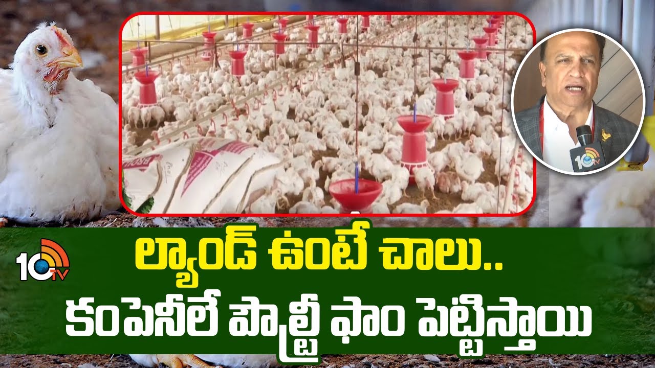 Poultry Farming | ల్యాండ్ ఉంటే చాలు.. కంపెనీలే పౌల్ట్రీ ఫాం పెట్టిస్తాయి | Matti Manishi | 10TV