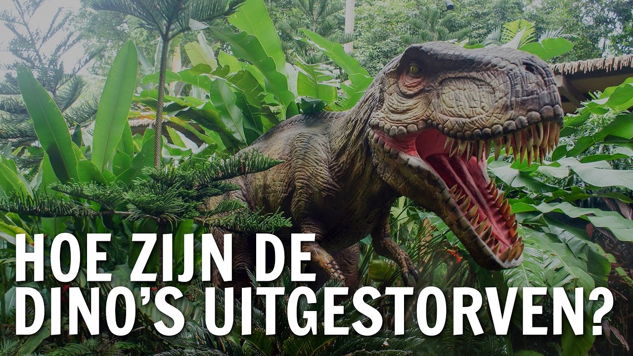 Hoe zijn dino's uitgestorven? | De Buitendienst over dinosaurus