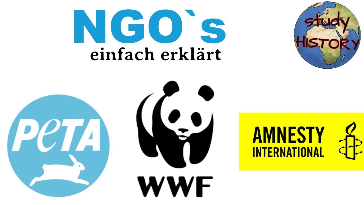 NGO´s einfach erklärt I Definition, Vorteile & Kritik