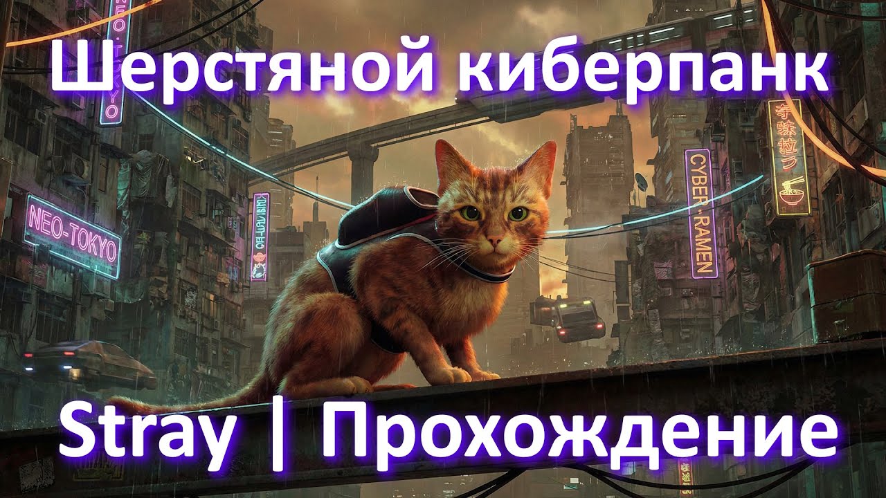 Шерстяной киберпанк || Stray || Приключения котика