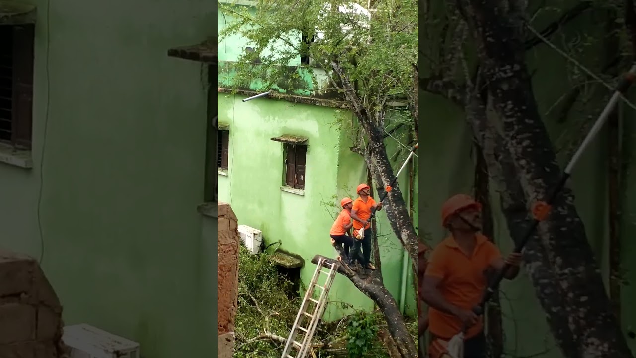 #odraf rescue operation#aftereffects #cyclone Dana #subscribe
