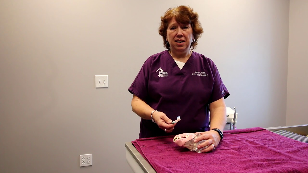 Reducing Aerosolization During a Dental Procedure
