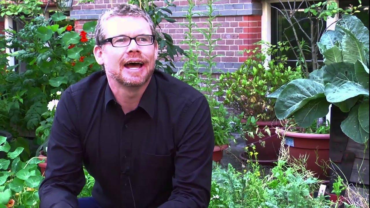 Chris Fennell- Word comprehension http://beforefirstwords.upf.edu/