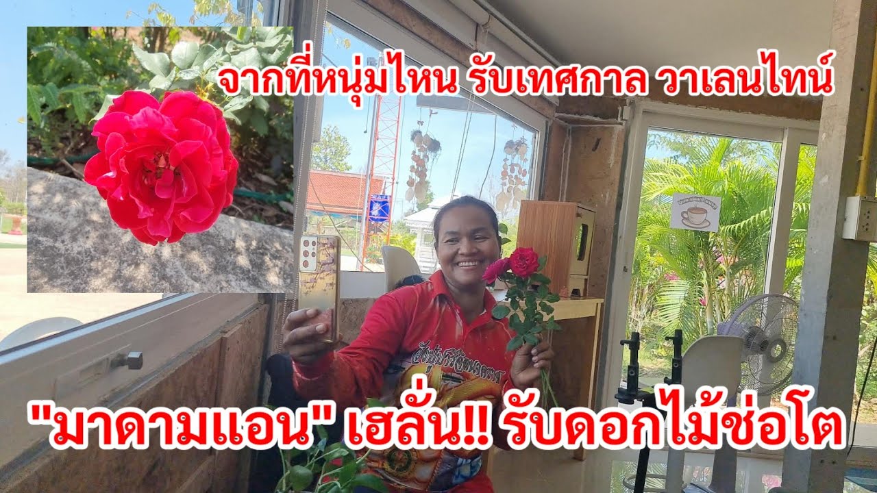 มาดามแอน