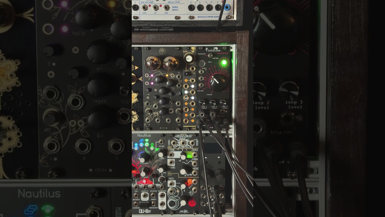 Experimentations in impermanence 🕸️ #fieldtone #weaver #eurorack #synthesizer #modular #analogsynth