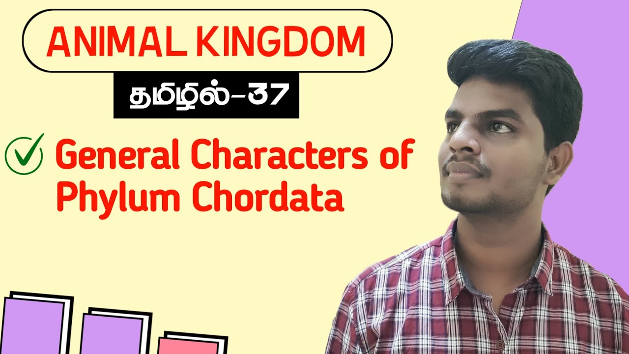 Phylum Chordata in Tamil | Animal Kingdom in Tamil (37)