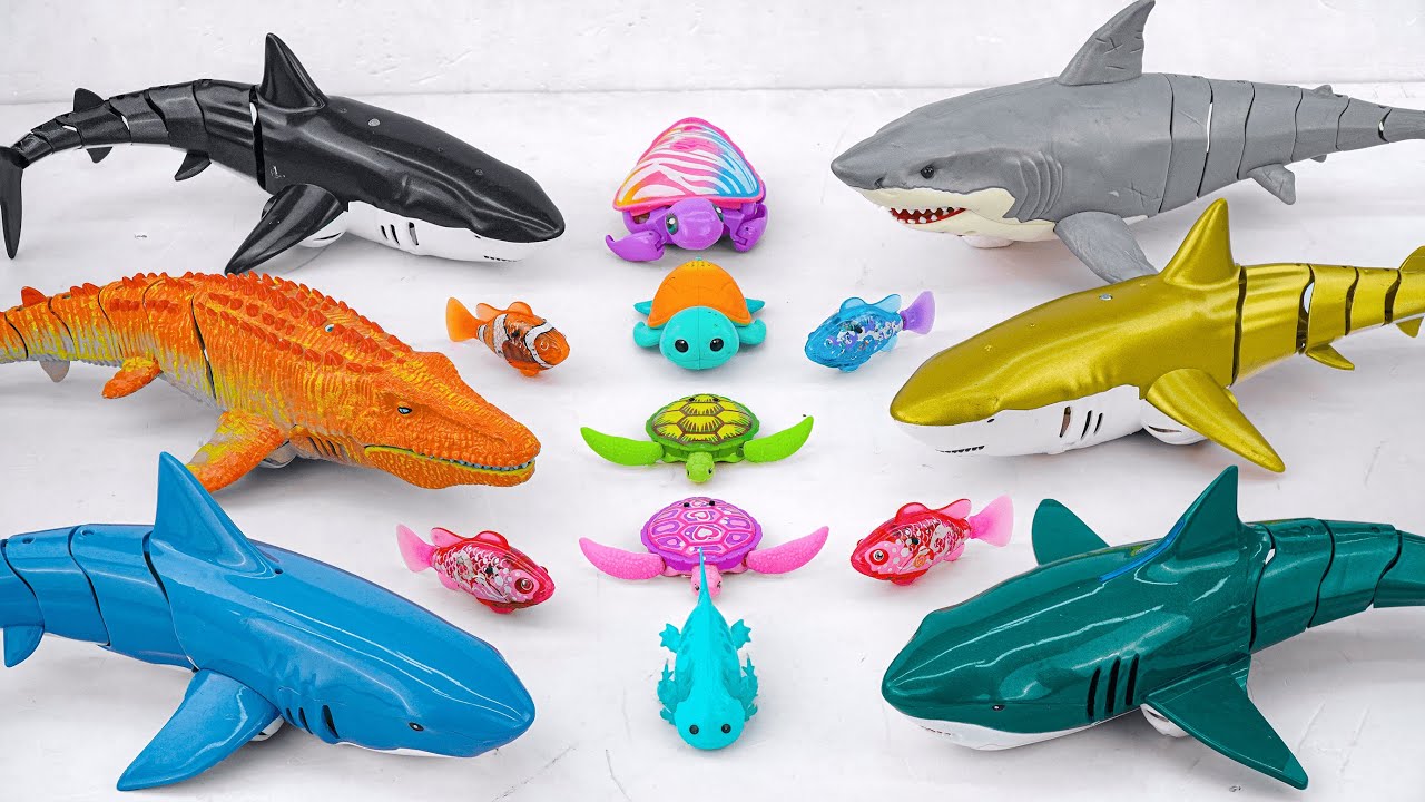 [Toy asmr] Crocodile & RC Shark & Baby Shark &Zuru Robo Alive Aquarium ASMR Satisfying with Unboxing