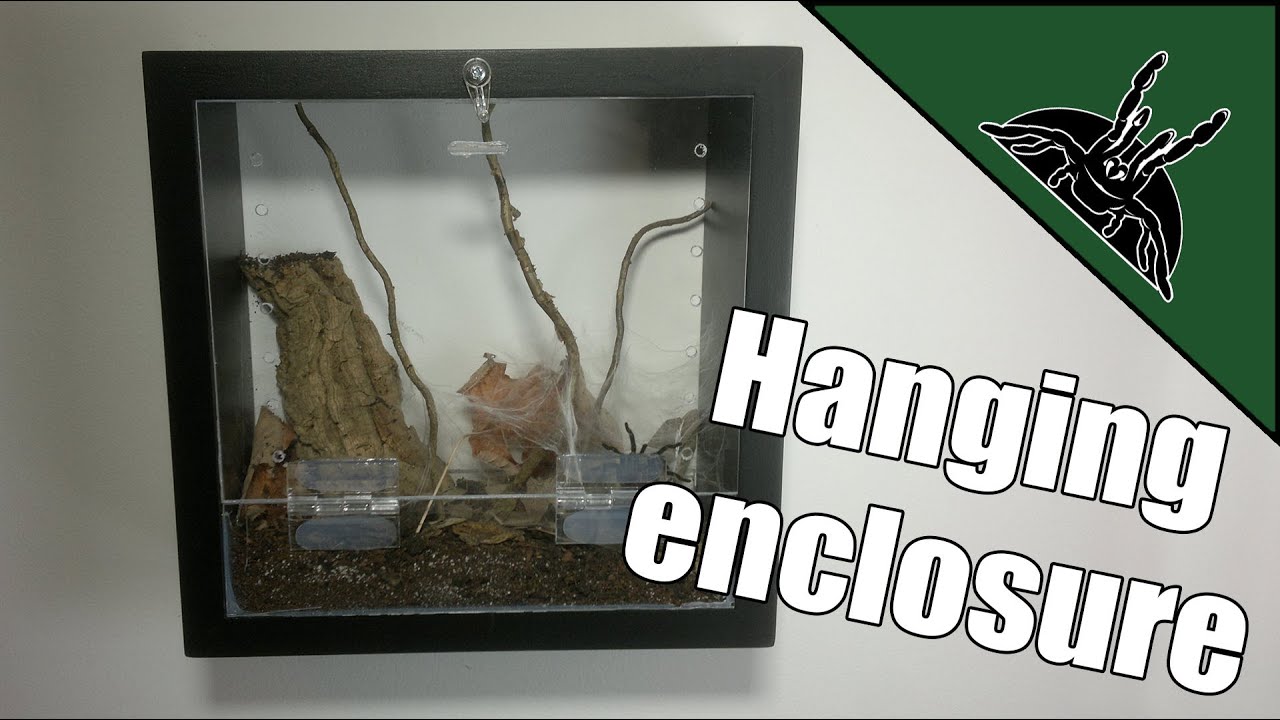 DIY: Enclosure as a picture? | Tarantula terrarium