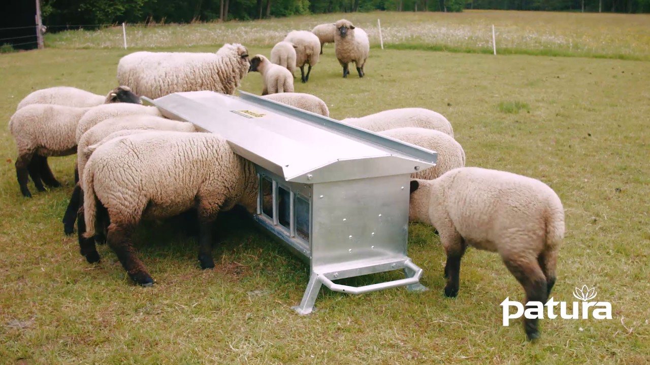 PATURA Lämmerfutterautomat