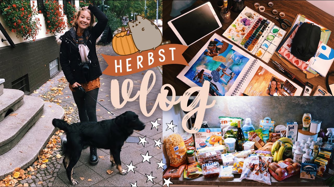 Alltagsvlog: Wocheneinkauf, Mädelsabend, Training, Fotoalbum/Bullet Journal // JustSayEleanor