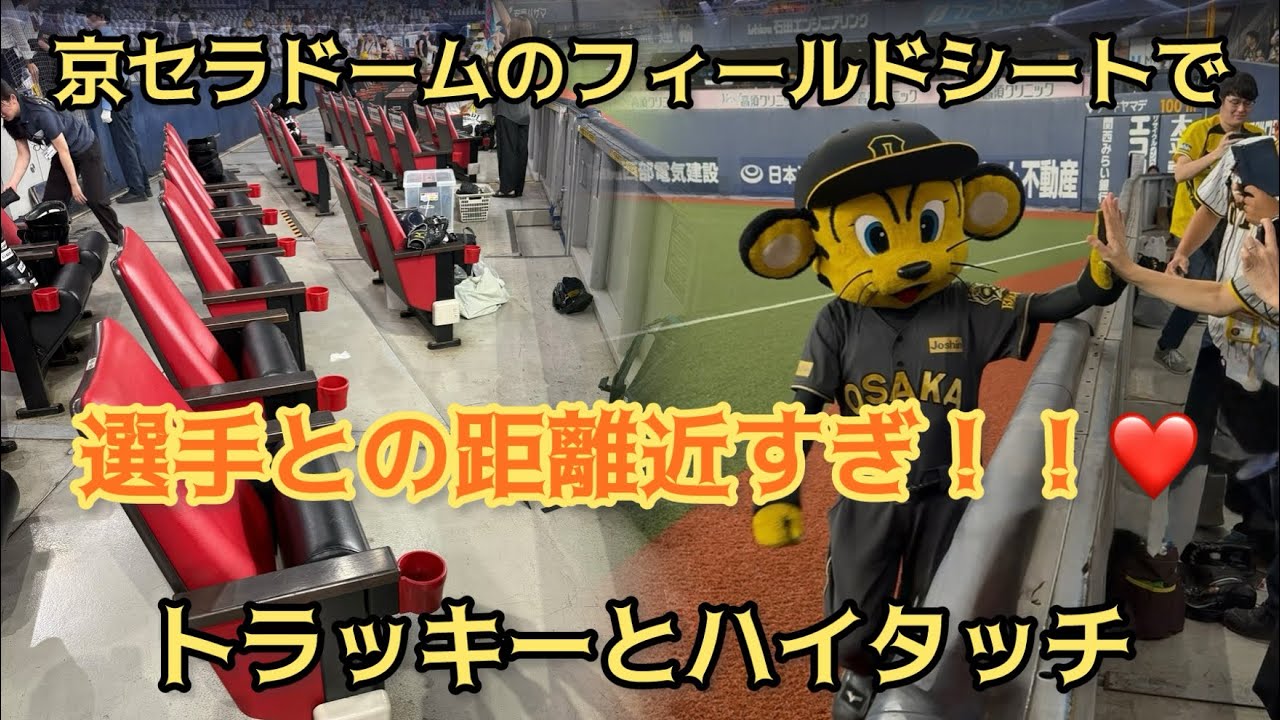 【トラッキーのサービス精神最高‼️】⭐︎京セラドームのフィールドシート（大商大シート）でトラッキーとハイタッチできます‼️2025年8月10日阪神タイガース対ヤクルトスワローズ⭐︎祝阪神タイガース優勝