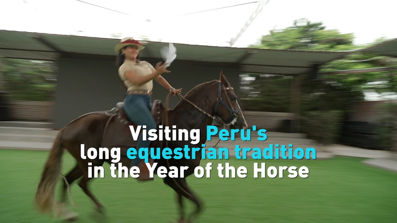 Visiting Peru's long equestrian tradition in the Year of the Horse