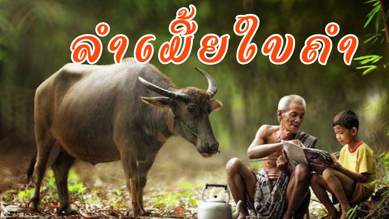 ລຳເມີ້ຍໃບຄຳ|ລຳໃບຄຳ|ลำใบคำ