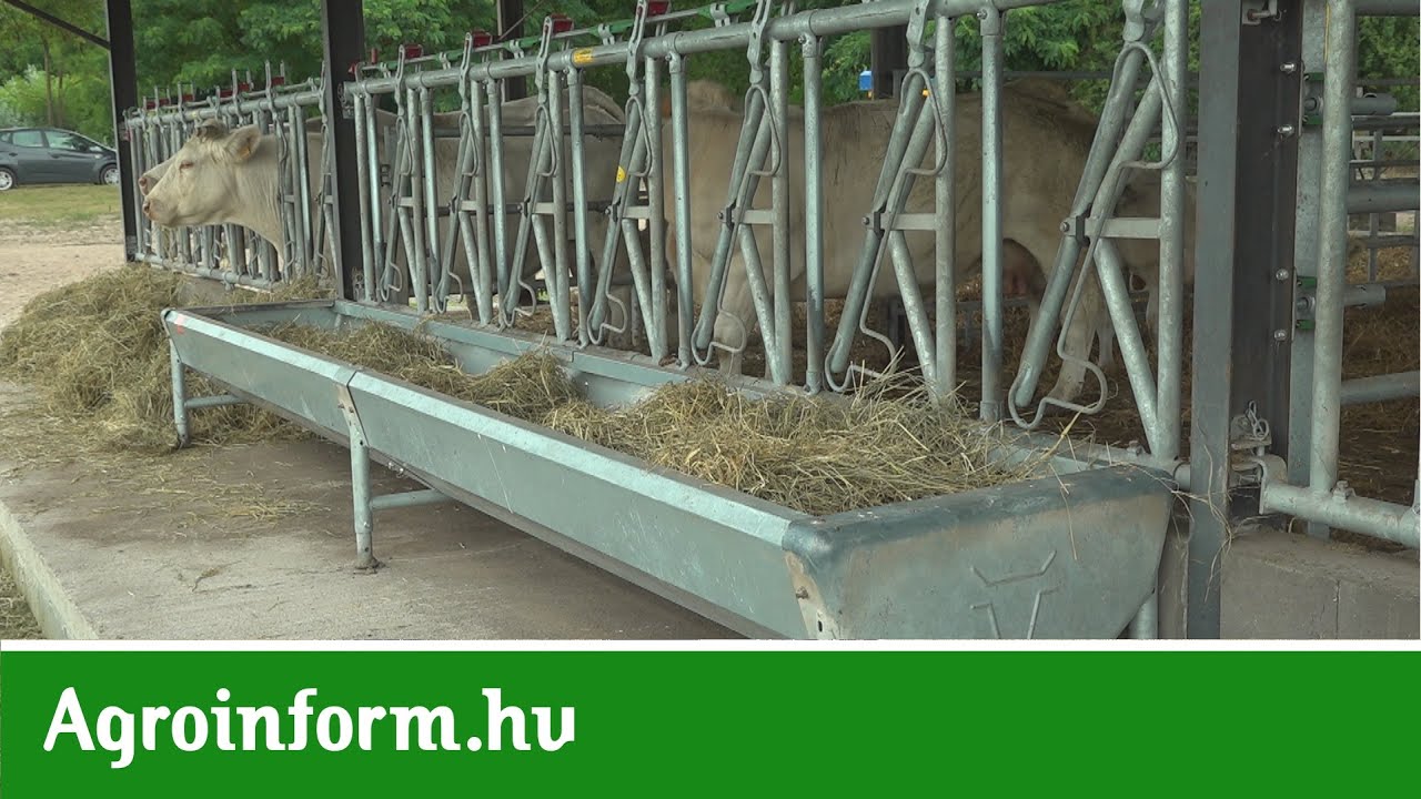 Automata zárak, három-pont függesztésű körbála etető és borjúbarát-óvoda!