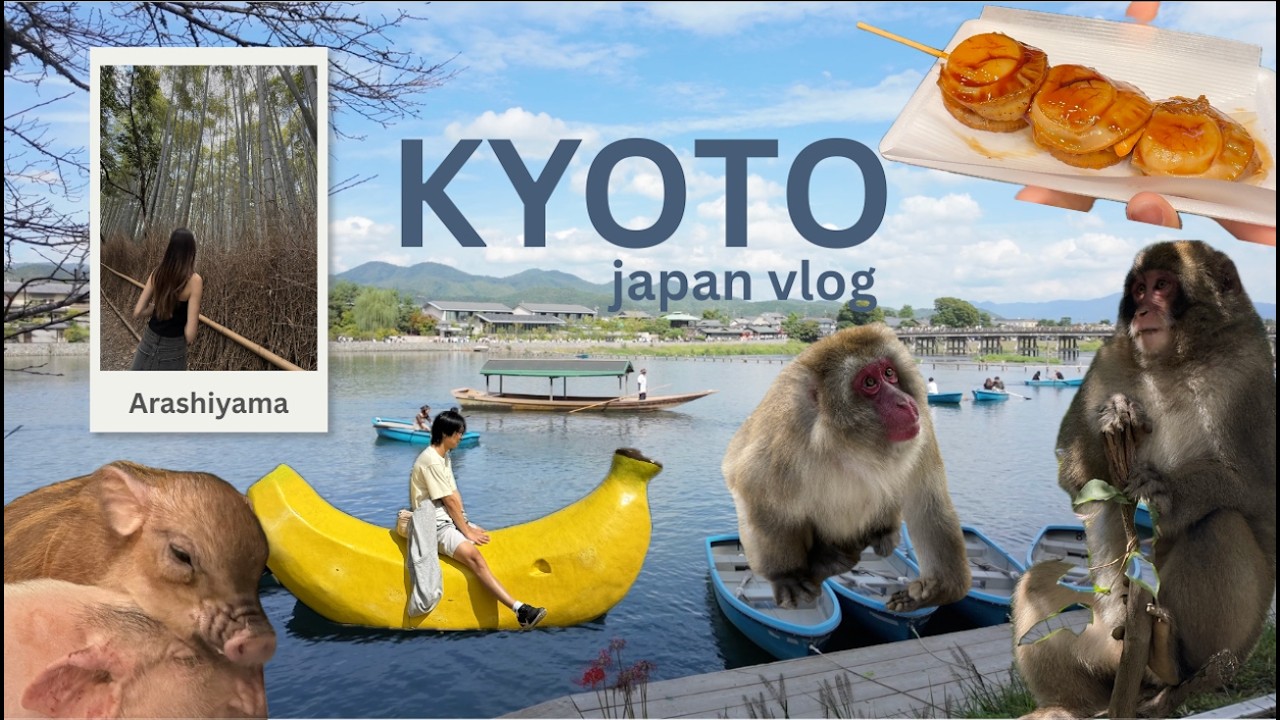 Kyoto Vlog 🇯🇵 | Monkey Park 🐒, Arashiyama Bamboo Forest 🎋 & MICRO PIGS 🐷