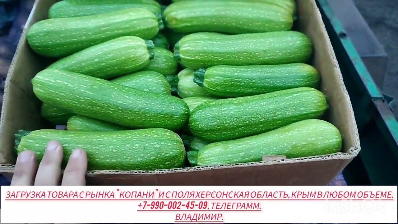 24-11-2025 г Цены сегодня рынок Копани Херсонская область.