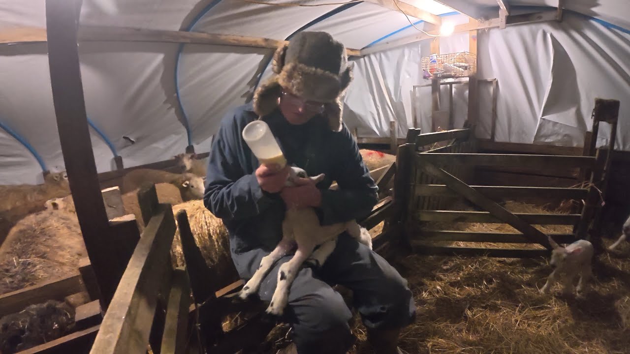 Окот