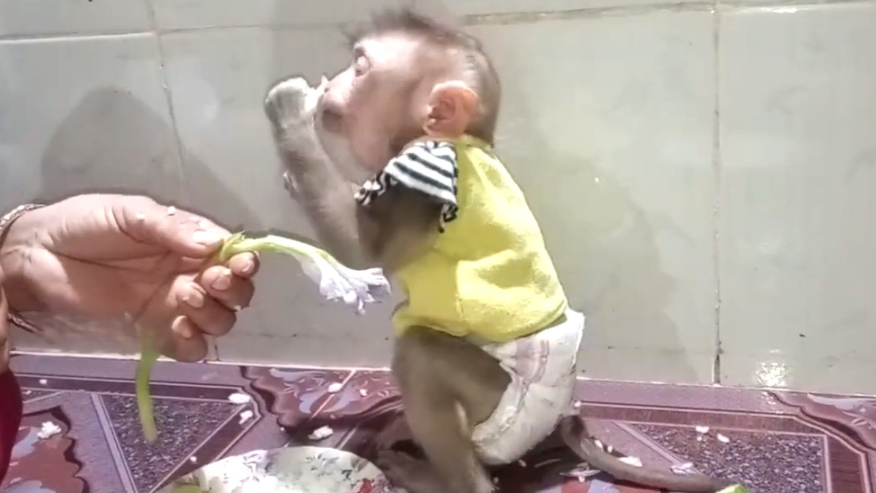 Very strange!! The smart LIORA sniffs the flowers while eating Food With Her Mom