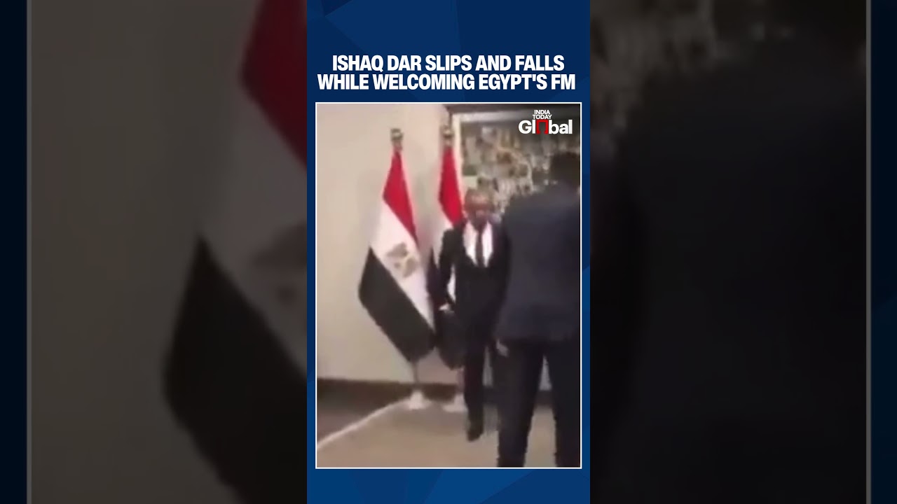 Pakistan&rsquo;s Deputy PM Slips And Falls In Viral Video during welcoming Egypt's Foreign Minister