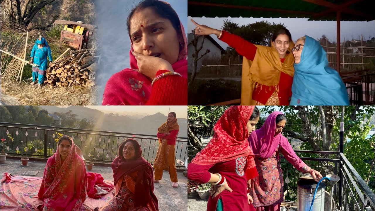 हमारे अम्मा जी इस उमर में भी इतने मेहनती हैं 😱#twins #himachal #village 