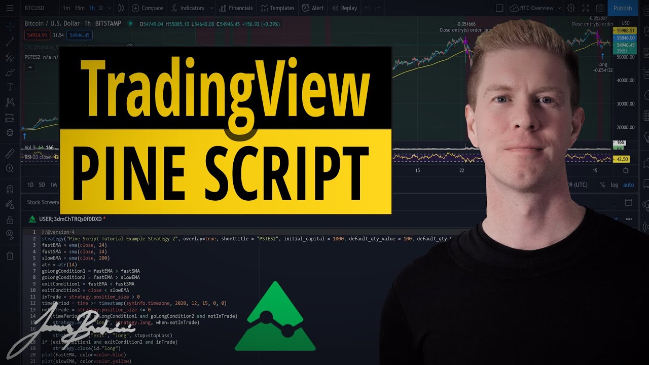 Учебное пособие по Pine Script | Разработка реальных торговых стратегий на TradingView