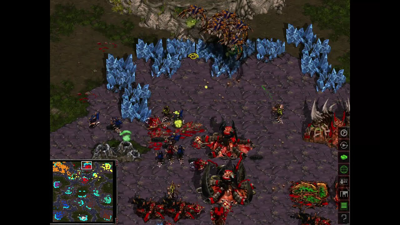 Brood War Big Game Hunters: 1v7 Zerg Melee. Quick And Easy Game