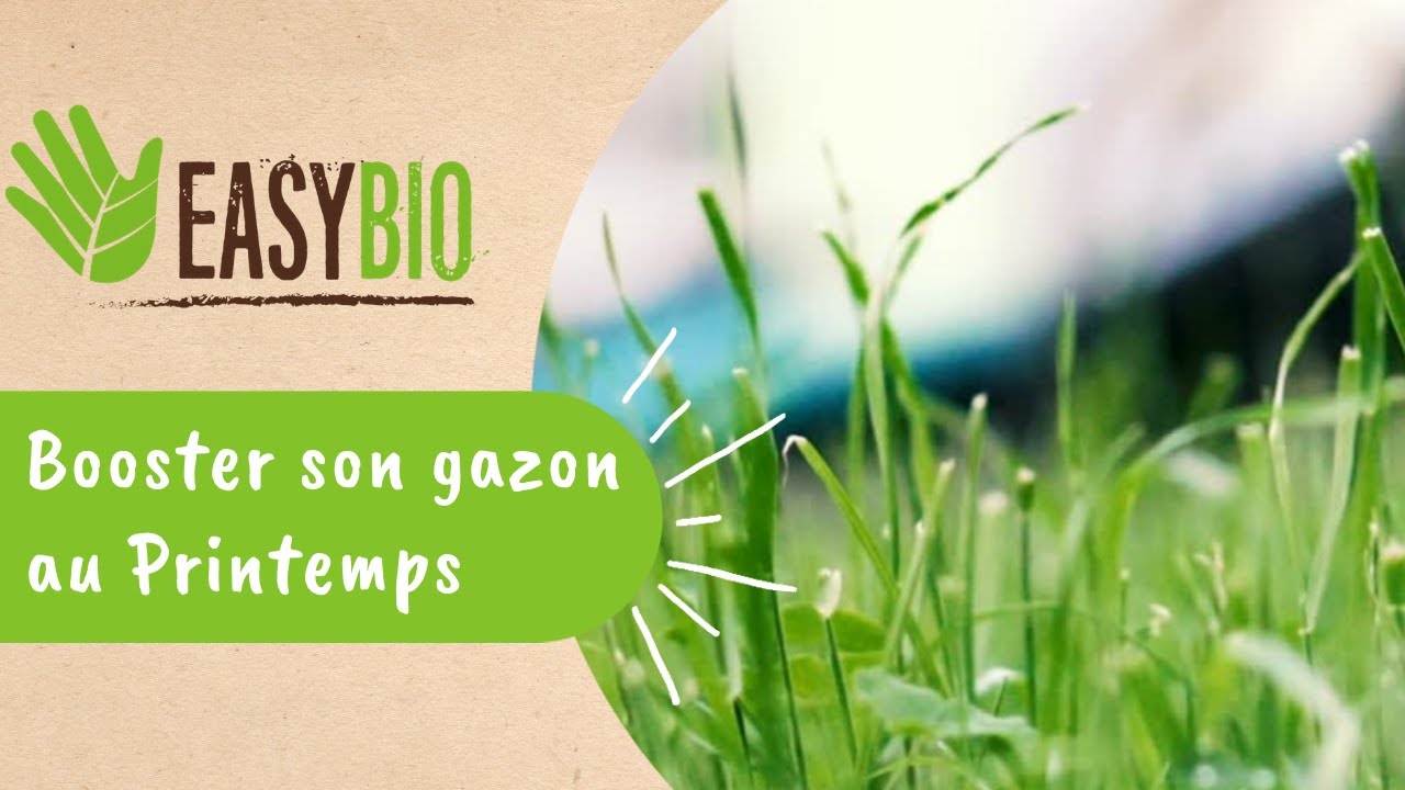 Booster son gazon au Printemps !