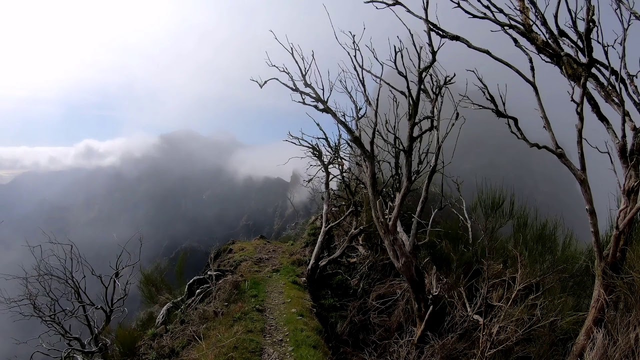 Exploring Madeira's Mountains - January 2019