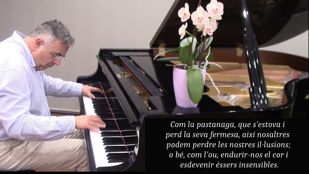 CLAR DE LLUNA de L  V  Beethoven