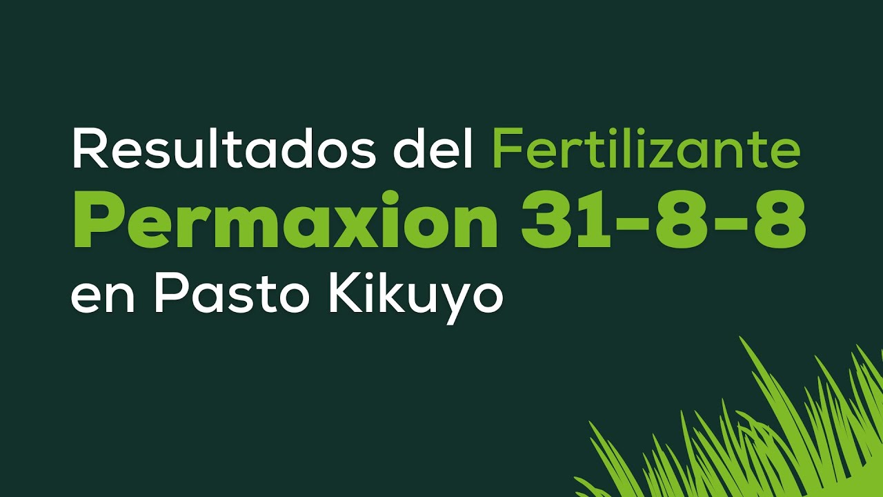 Resultados del Fertilizante Mineral Orgánico Permaxion 31-8-8 en Pasto Kikuyo