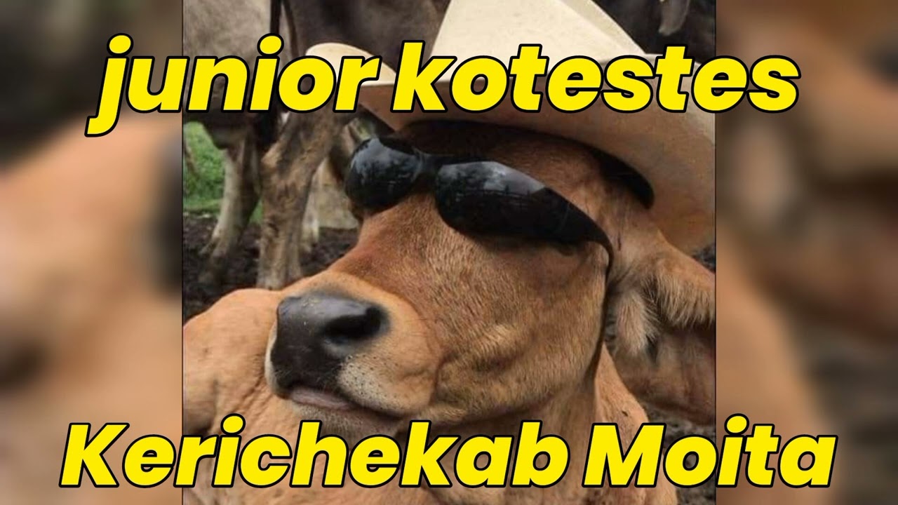 kerichekab moita by junior kotestes