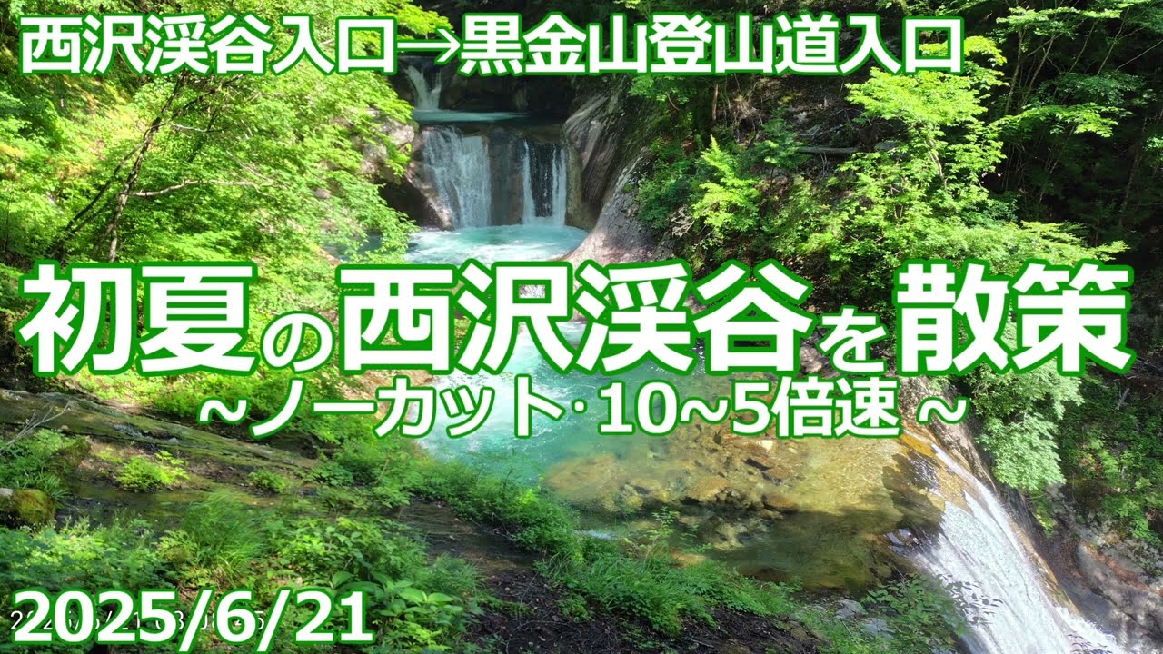【2025/6/21】初夏の西沢渓谷を散策【西沢渓谷入口→黒金山登山道入口】