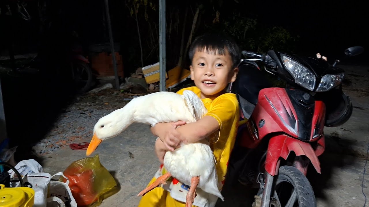 Trời Tối Rồi Mà Chuột Còn Ẩm Khoai Tây Đi Chơi #ngocdieuvlog123 #chuotamkhoaitaydichoi