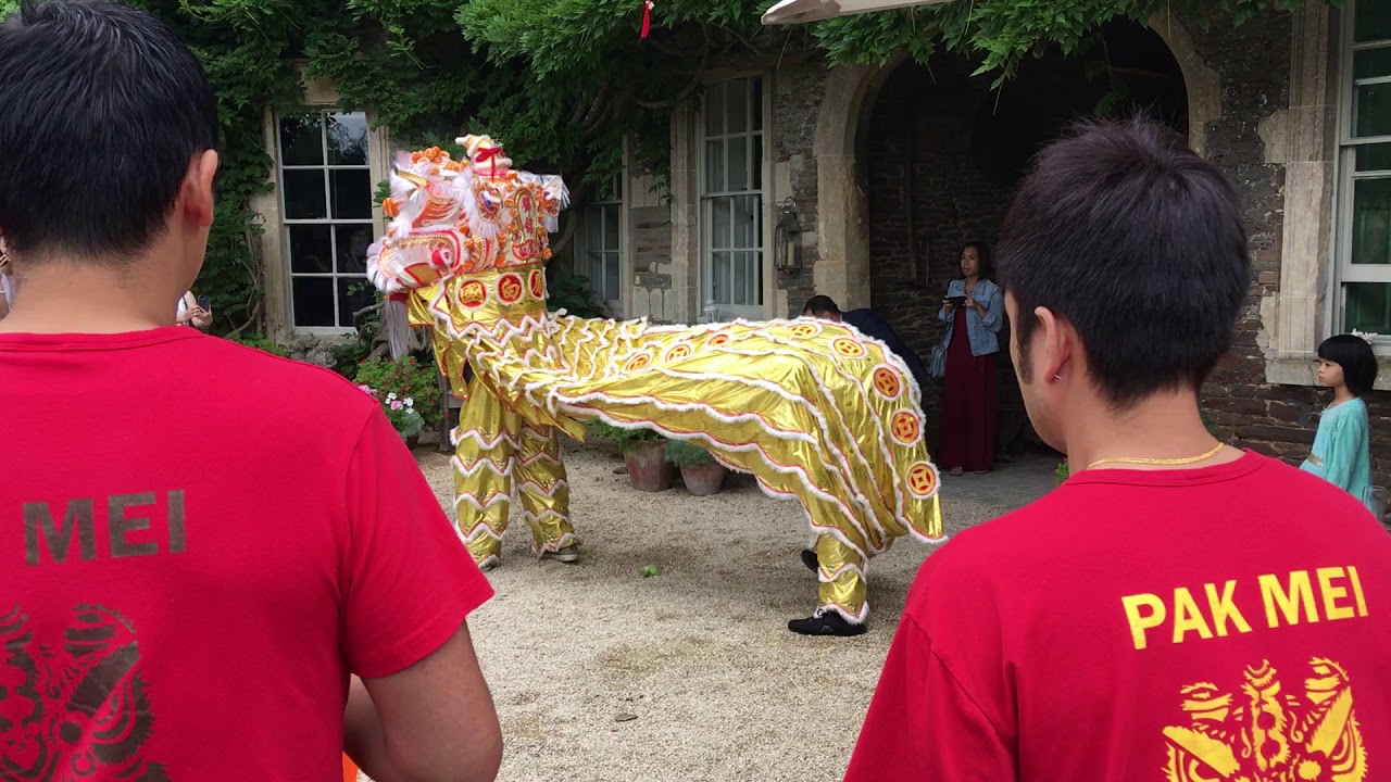 Lion dance at my brother’s wedding reception (18 August 2018)