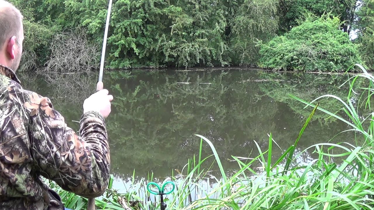 Tench fishing 1
