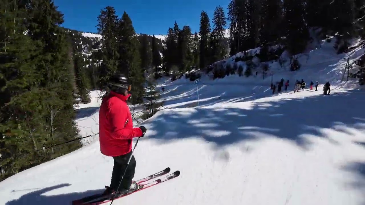 Avoriaz nice long blue run from Prolays to Ardent