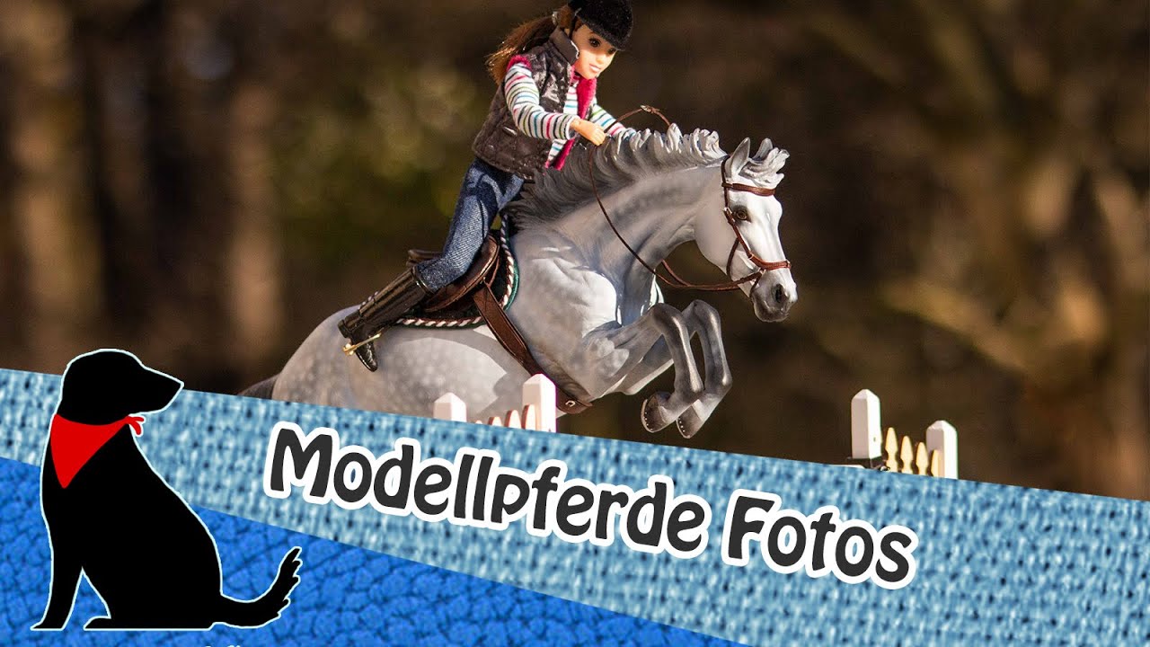 📷MODELLPFERDE FOTOS📷(Schleich, Breyer, EIGENE MODELLE)